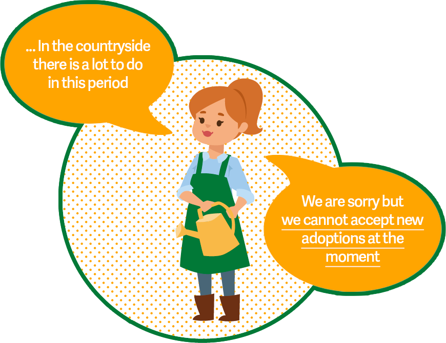 Adozioni temporaneamente sospese